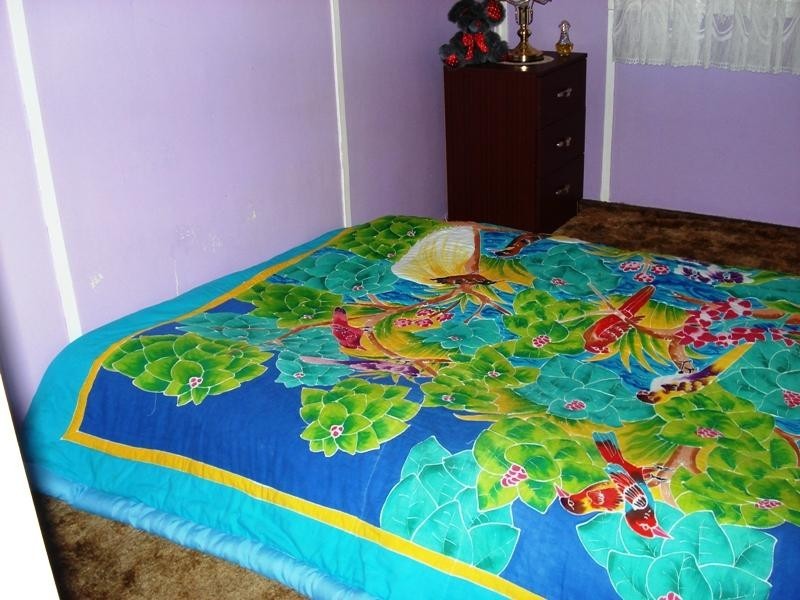 32 Jephson Street, Greenbushes WA 6254