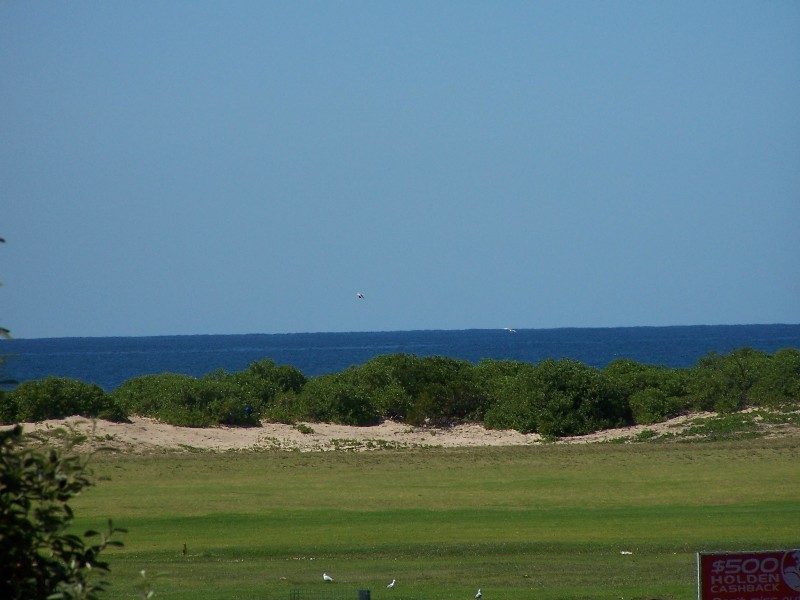 172 Corrimal Street, Wollongong NSW 2500