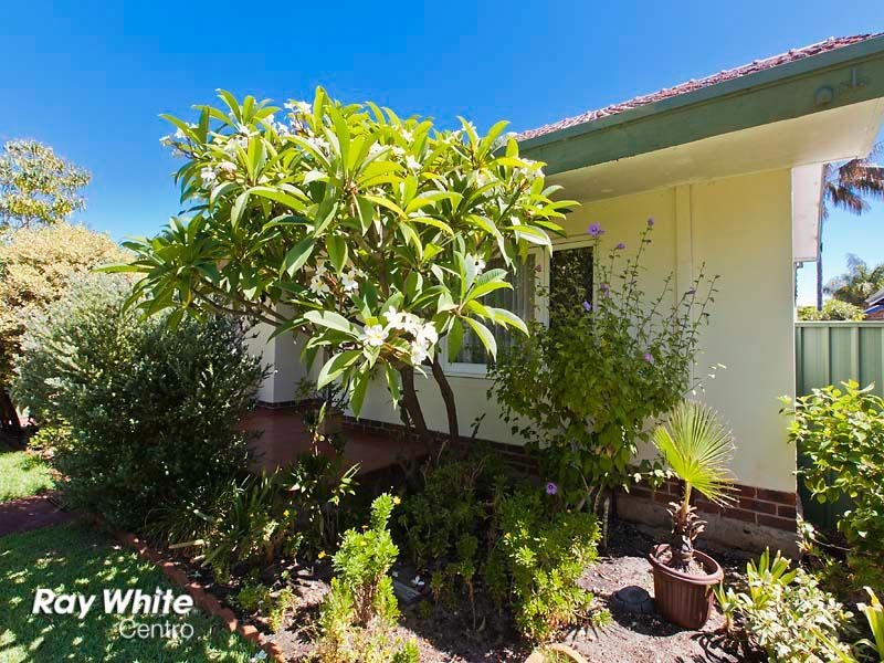 173 Daglish Street, Wembley WA 6014