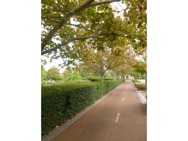 10 Tallow Tree Crescent, Subiaco WA 6008