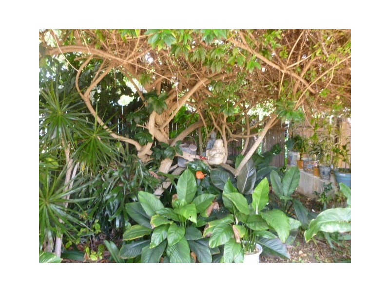 8 McCarthy Street, Perth WA 6000