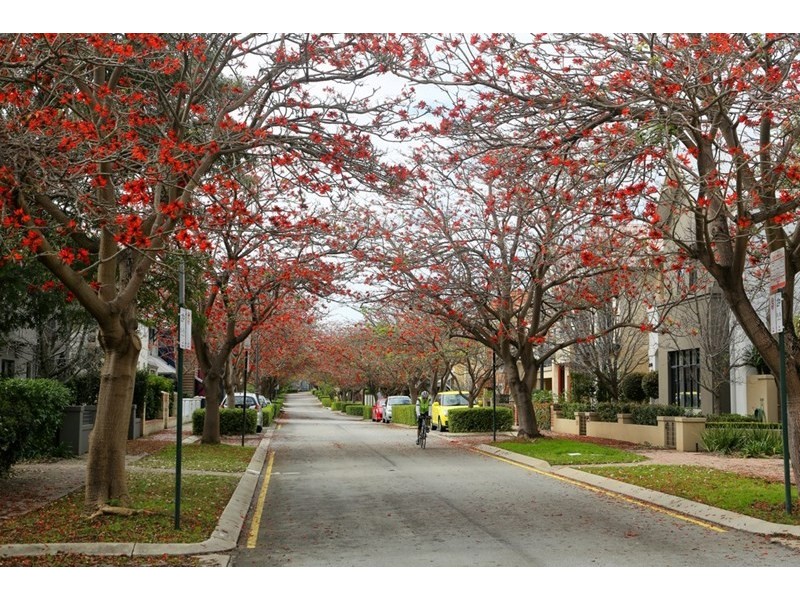 30A Coral Tree Avenue, Subiaco WA 6008