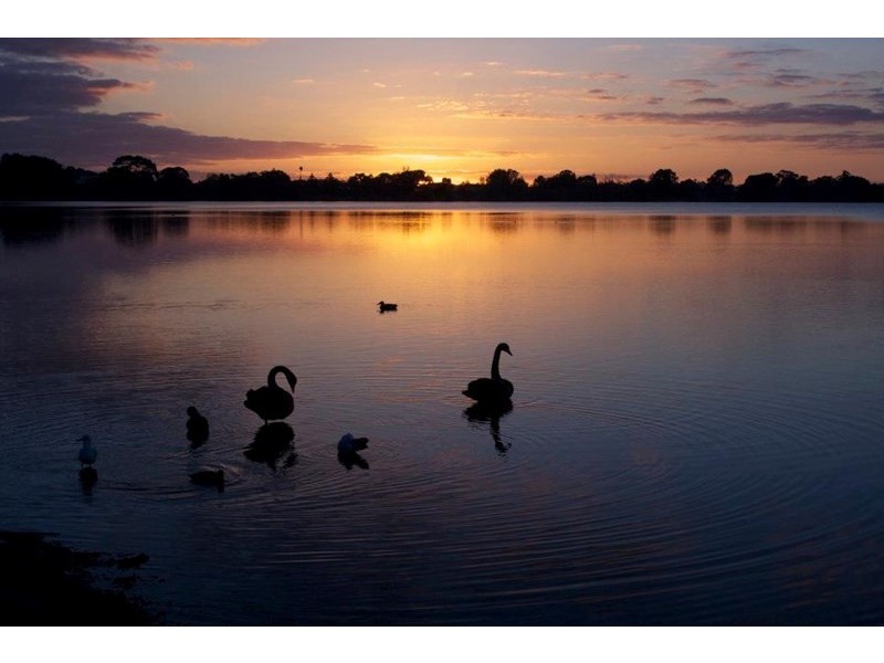 8/62 Moondine Drive, Wembley WA 6014