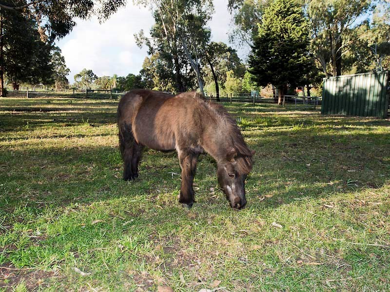 61 Lewis Road, Serpentine WA 6125