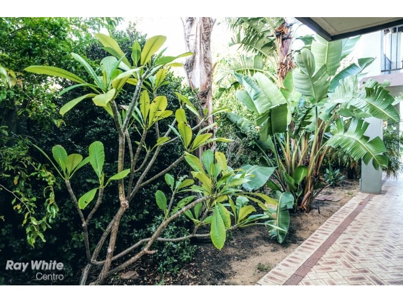 28 Highbridge Way, Karrinyup WA 6018