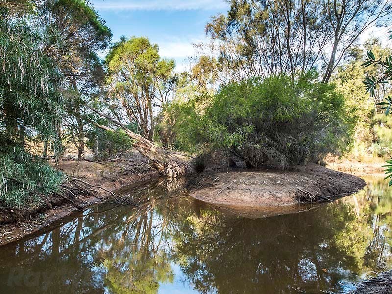 76 Richardson Street, Serpentine WA 6125