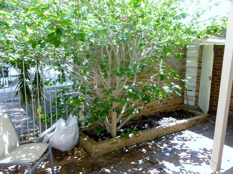 3/7 Heytesbury Road, Subiaco WA 6008