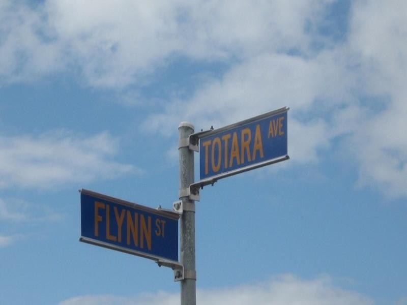 19 Flynn Street, Canning Vale WA 6155