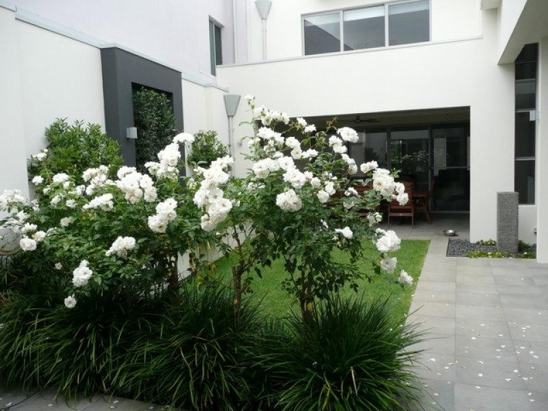 24 Price Street, Subiaco WA 6008