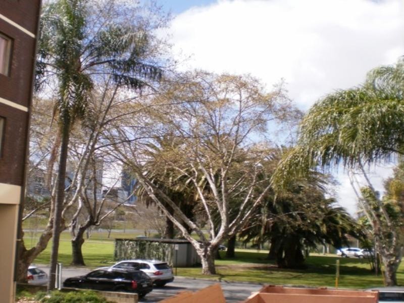 6/134 Mounts Bay Road, Perth WA 6000