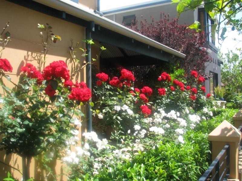 3 Old Jacaranda Way, Subiaco WA 6008