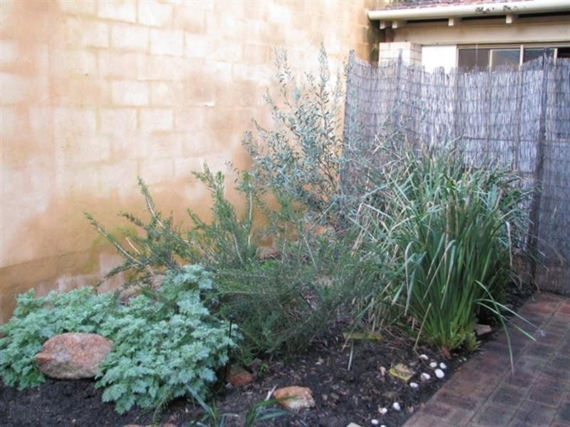 35b Kanimbla Road, Nedlands WA 6009