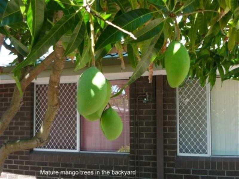 18 Mereworth Road, Thornlie WA 6108