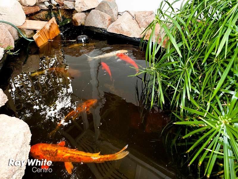 36a Petra Street, Palmyra WA 6157