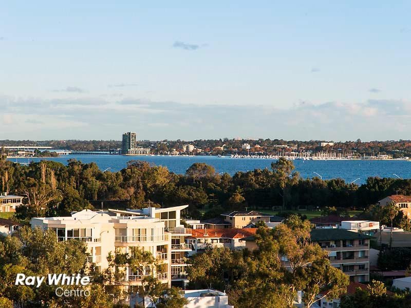 43/19 Bowman Street, South Perth WA 6151