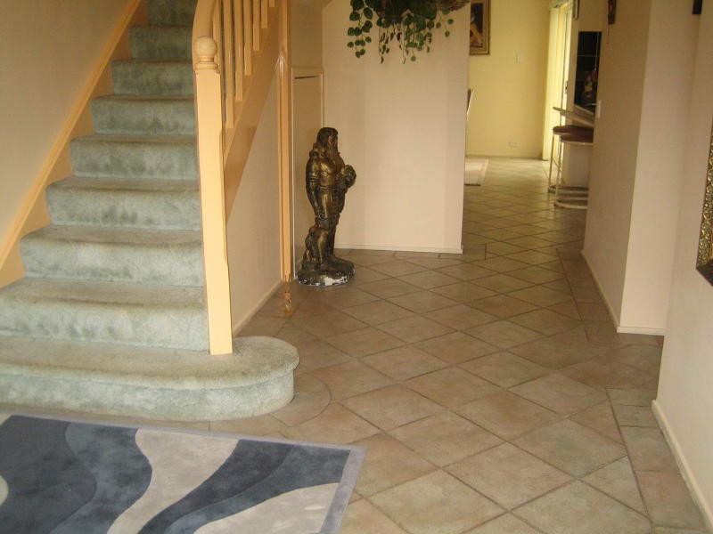 22 Athlone Street, Cecil Hills NSW 2171