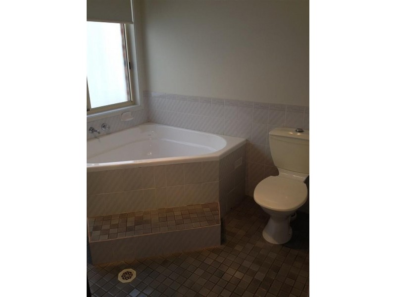 17 Falmer Street, Abbotsbury NSW 2176
