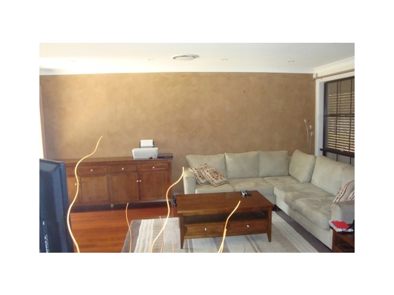 29 Falmer Street, Abbotsbury NSW 2176