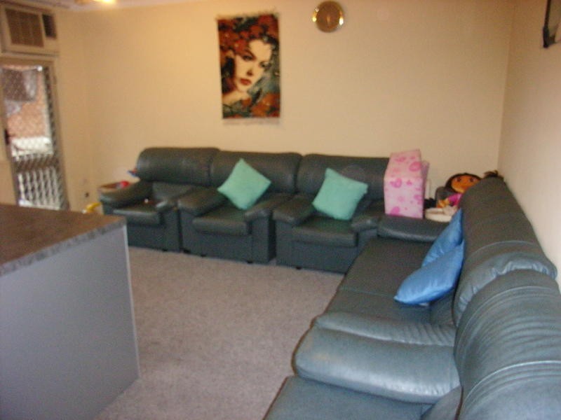 132 Lansdowne Street, Canley Vale NSW 2166