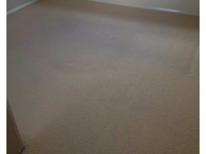 3 Grevillea Close, Bossley Park NSW 2176