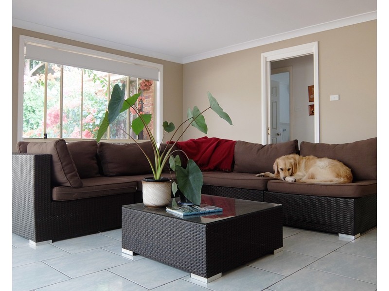 35 Gabriella Avenue, Cecil Hills NSW 2171