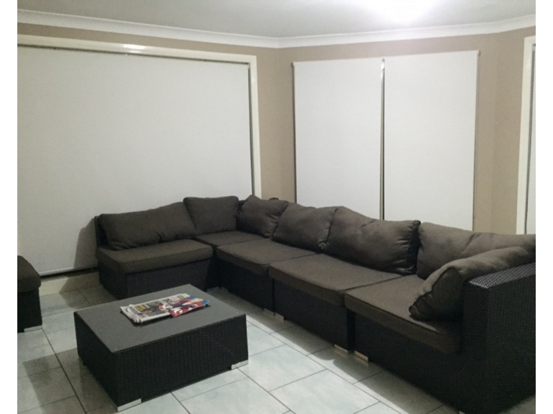 35 Gabriella Avenue, Cecil Hills NSW 2171