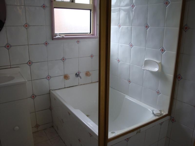 251 John Street, Cabramatta West NSW 2166