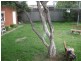 281 Brenan Street, Smithfield NSW 2164