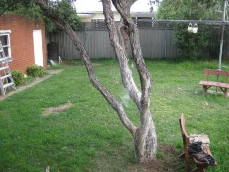281 Brenan Street, Smithfield NSW 2164