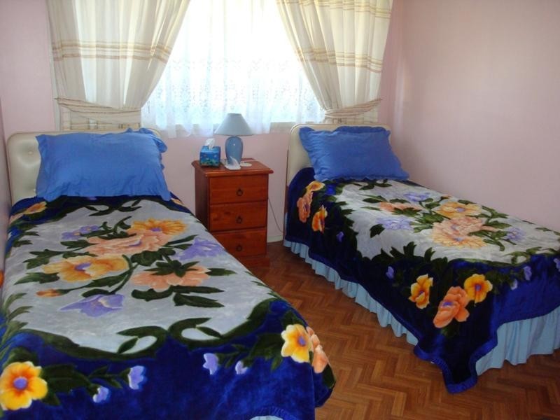 3 Greenwich Close, St Johns Park NSW 2176