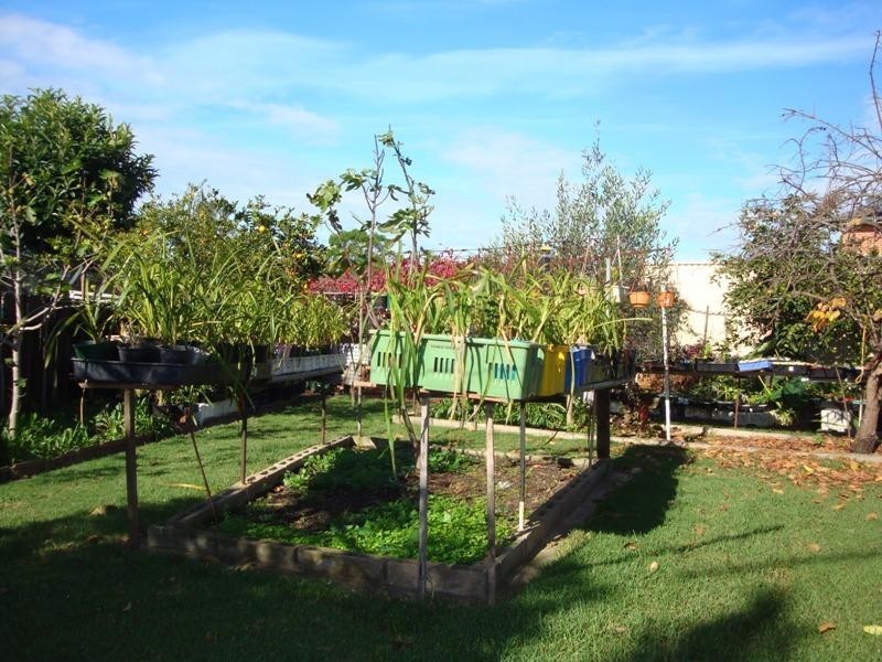 3 Greenwich Close, St Johns Park NSW 2176