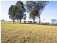355 Badgerys Creek Road, Bringelly NSW 2556