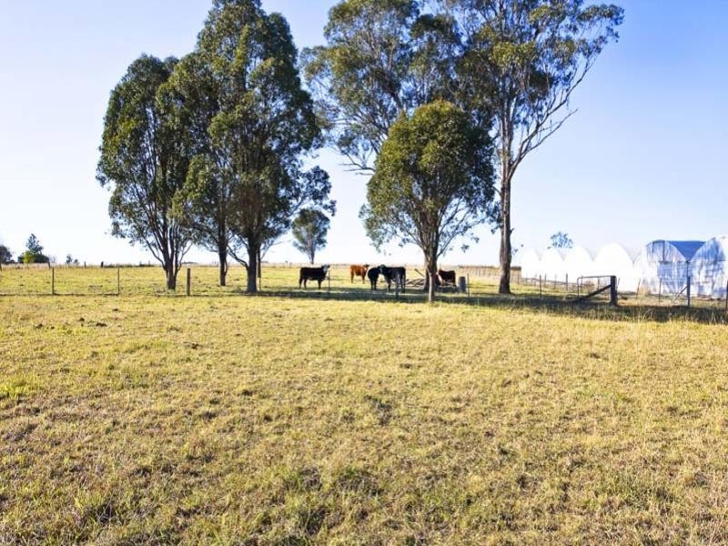 355 Badgerys Creek Road, Bringelly NSW 2556
