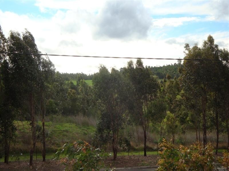 11 Grevillea Close, Bossley Park NSW 2176