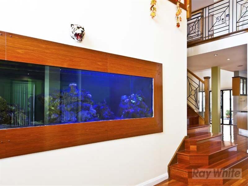 37 Clementina Circuit, Cecil Hills NSW 2171