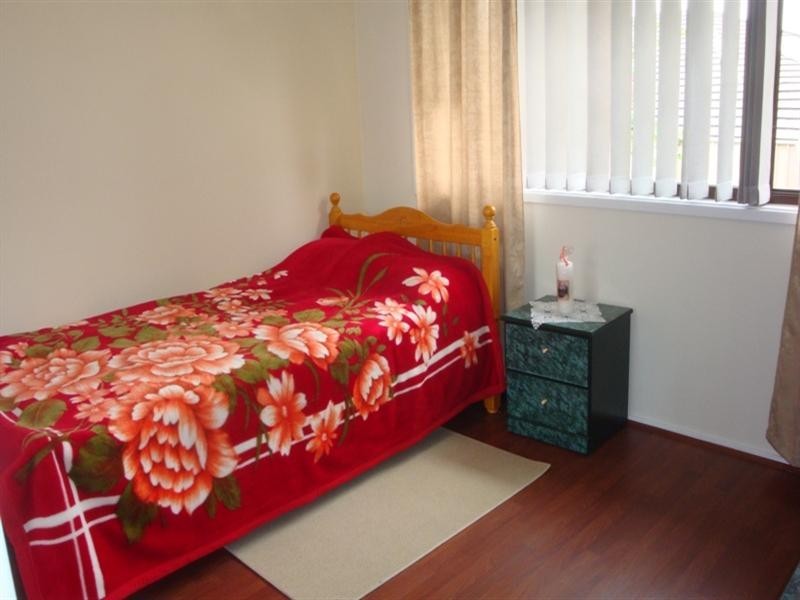 41 Curran Street, Prairiewood NSW 2176