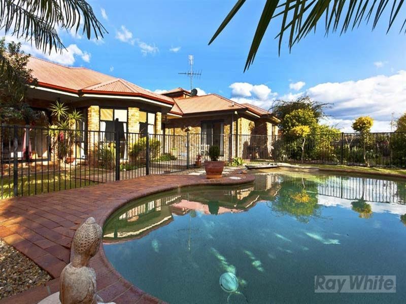 49 Balmoral Circuit, Cecil Hills NSW 2171