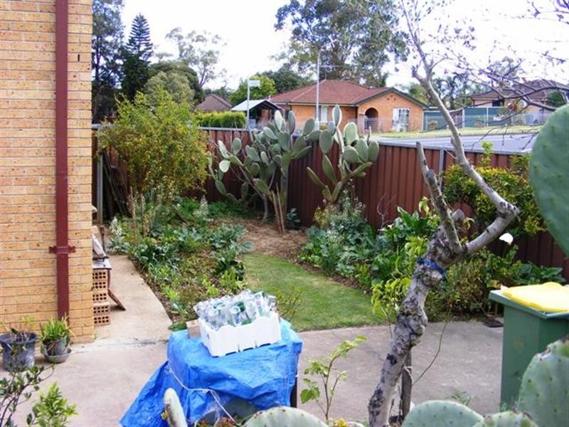 117 Kalang Road, Edensor Park NSW 2176