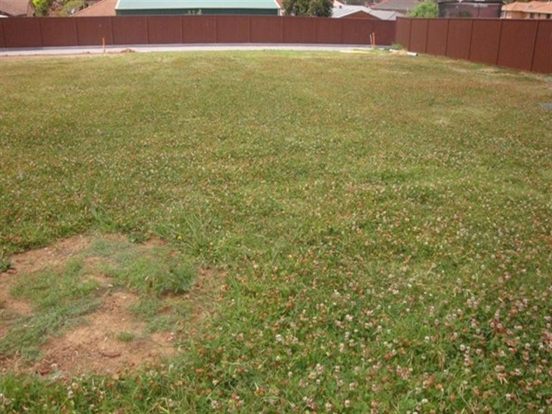 151 Kalang Road, Edensor Park NSW 2176