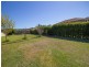 24 Mariner Crescent, Abbotsbury NSW 2176