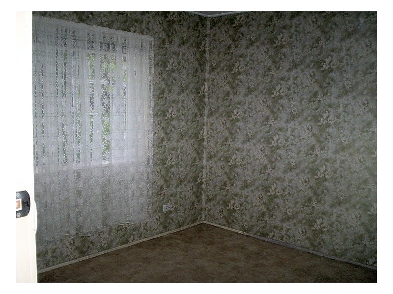 Lemon Tree Passage NSW 2319