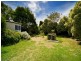 29 Freeman Street, Ringwood East VIC 3135