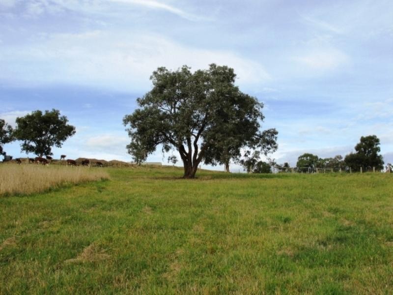 24 Gatters Road, Wonga Park VIC 3115