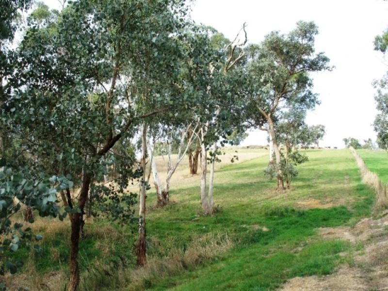 24 Gatters Road, Wonga Park VIC 3115