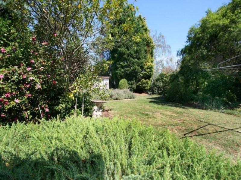 15 Rosedale Crescent, Ringwood East VIC 3135