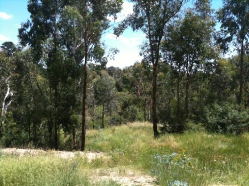 369 Old Warrandyte Road, Ringwood North VIC 3134