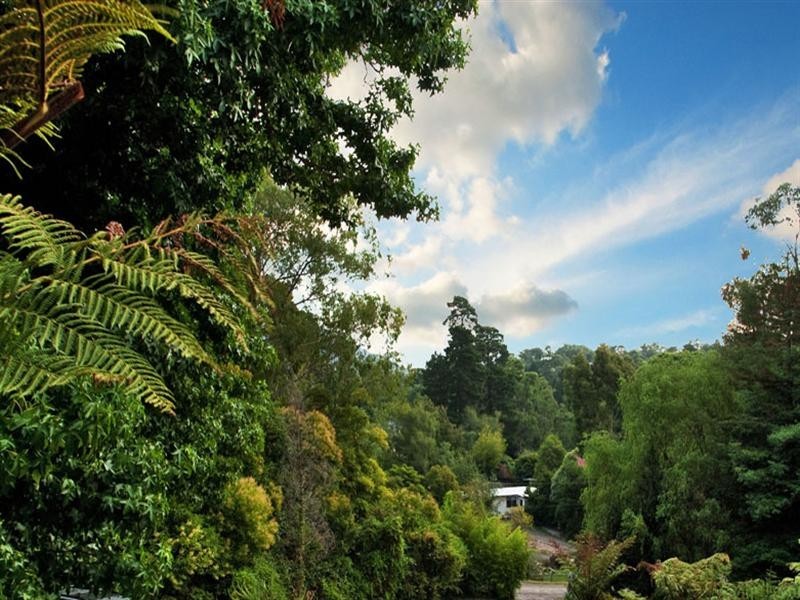 8 CLEMATIS Road, Mount Evelyn VIC 3796