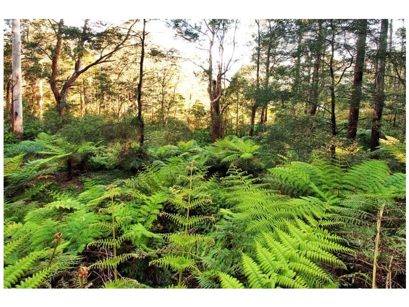 52 JEEVES Avenue, Kalorama VIC 3766