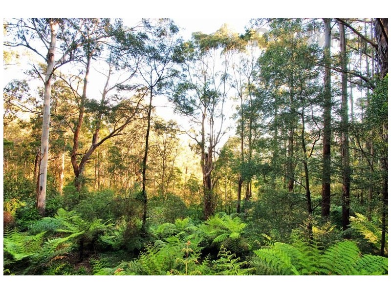 52 JEEVES Avenue, Kalorama VIC 3766