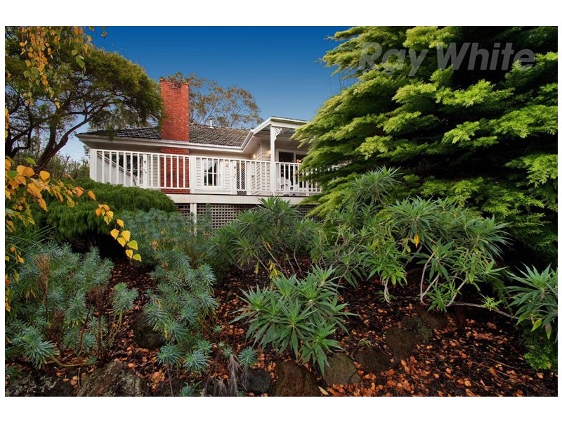 19 Rotherwood Avenue, Ringwood East VIC 3135